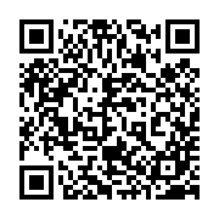 QR code for 383487