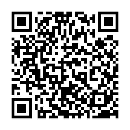 QR code for 383521