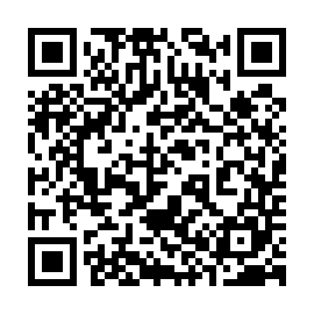 QR code for 383545