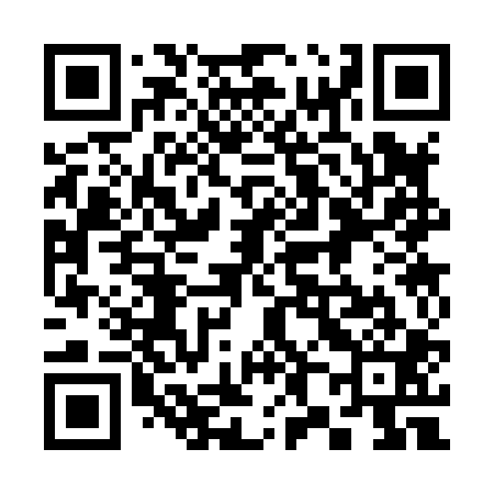 QR code for 383801
