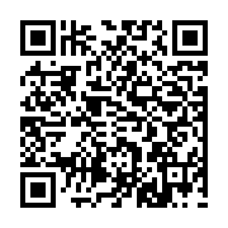 QR code for 3838543