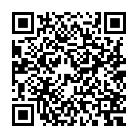 QR code for 3839061