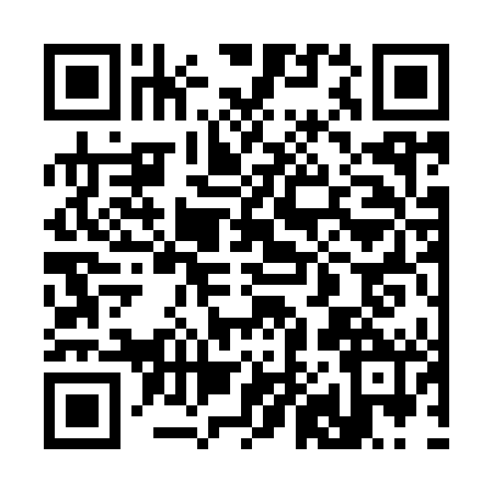QR code for 3839424