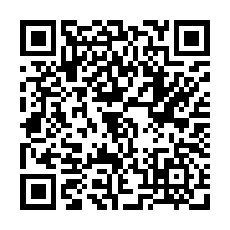 QR code for 3839979