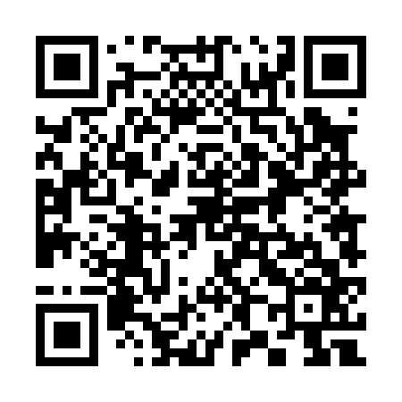 QR code for 384066