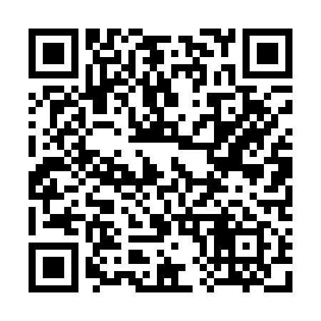 QR code for 384119