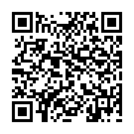 QR code for 384231