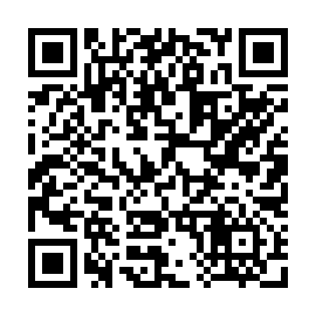 QR code for 384296