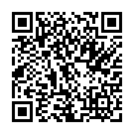 QR code for 3843250