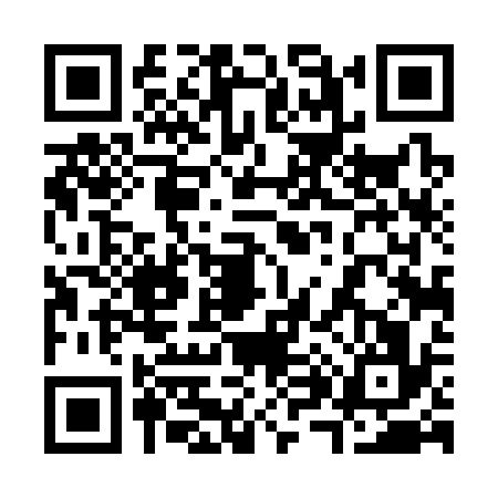 QR code for 3843365