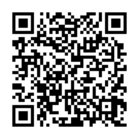 QR code for 384368