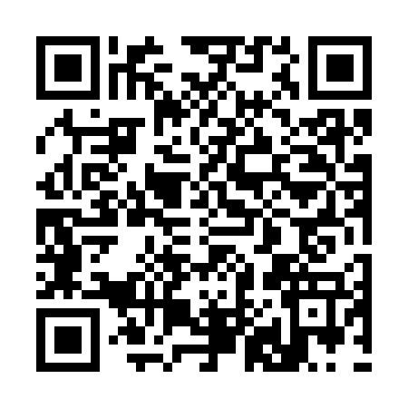 QR code for 3843771