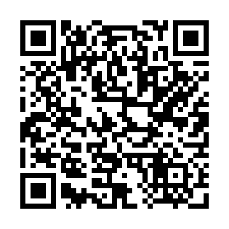 QR code for 384771