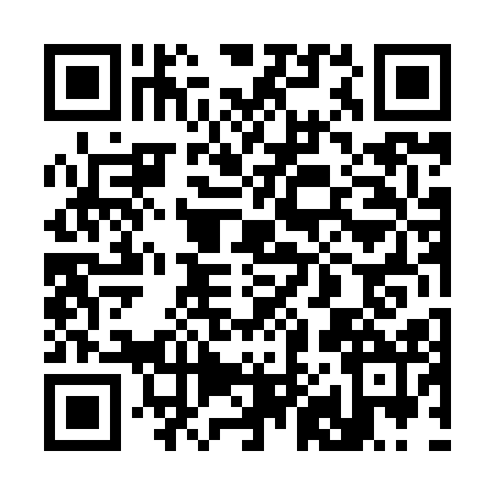 QR code for 3848128