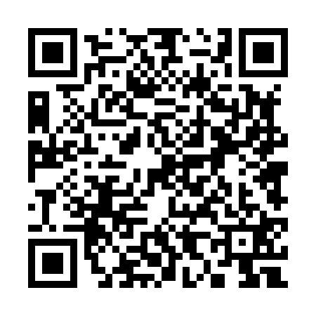 QR code for 3848217