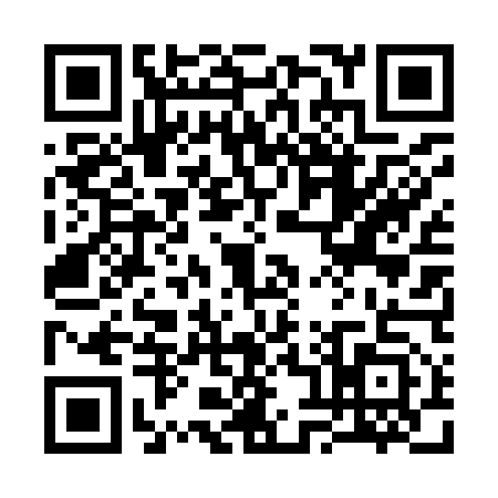 QR code for 3849533