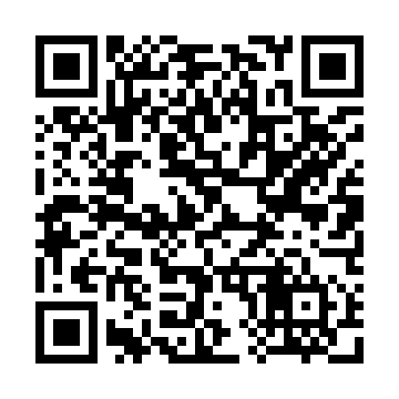 QR code for 384954