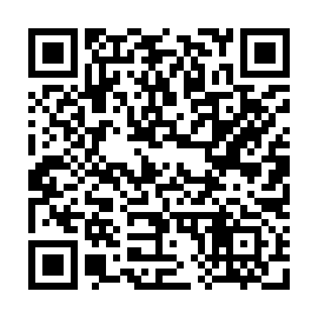 QR code for 384993