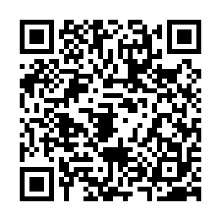 QR code for 3851125