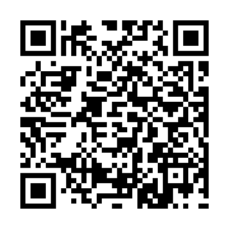 QR code for 3851879