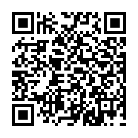 QR code for 3852462