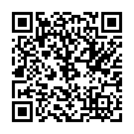 QR code for 3852502