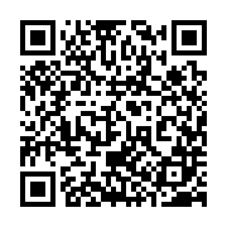 QR code for 385382