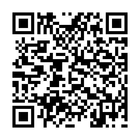 QR code for 385841