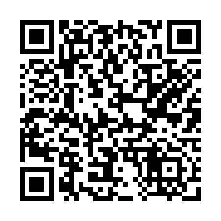 QR code for 386313