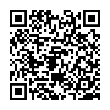 QR code for 3863753