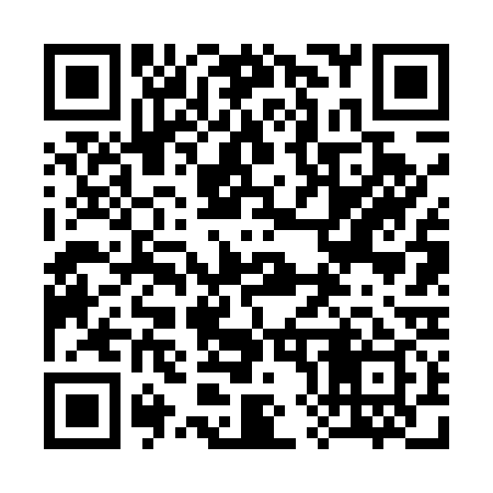 QR code for 386539
