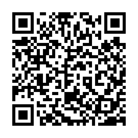 QR code for 386618