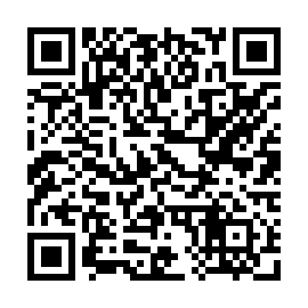 QR code for 386811