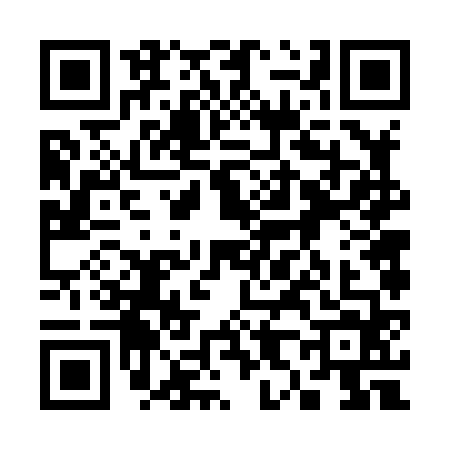 QR code for 3868642