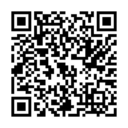 QR code for 3868905