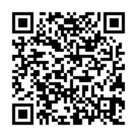QR code for 387061
