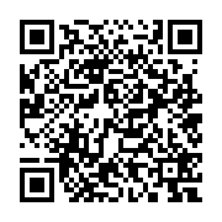 QR code for 3873291