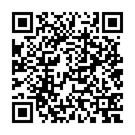 QR code for 3875316