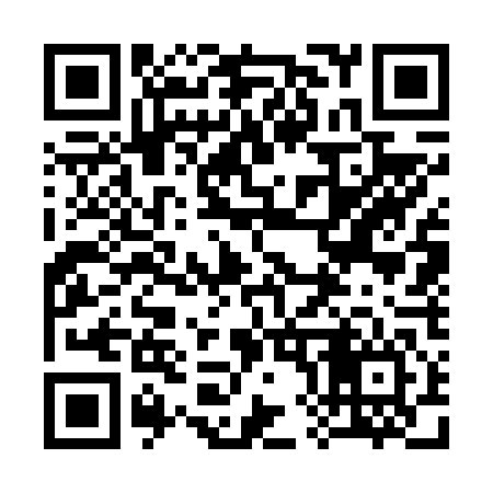 QR code for 387646