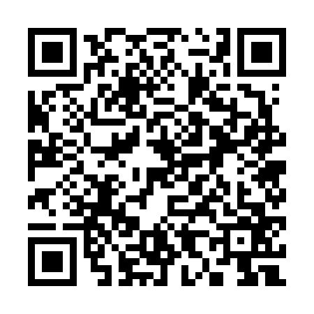 QR code for 3876660