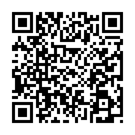 QR code for 3881161