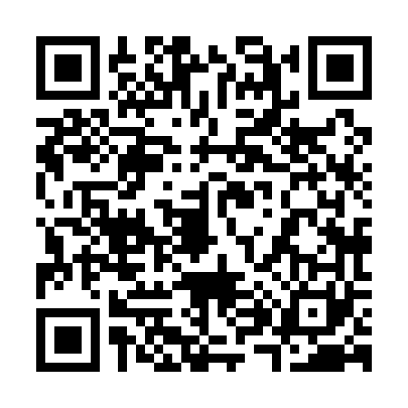 QR code for 3881611