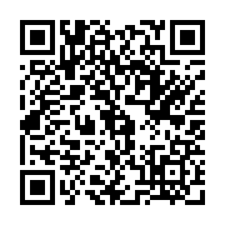 QR code for 3891294