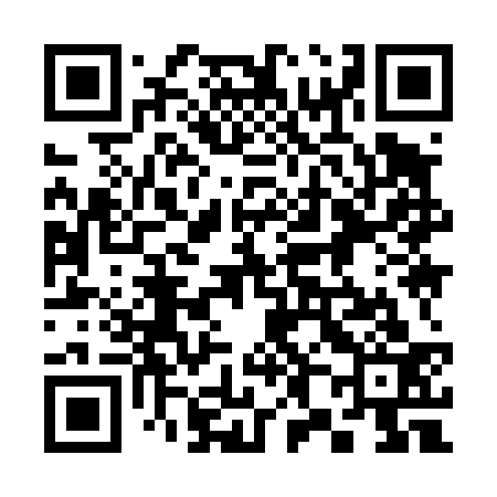 QR code for 389433