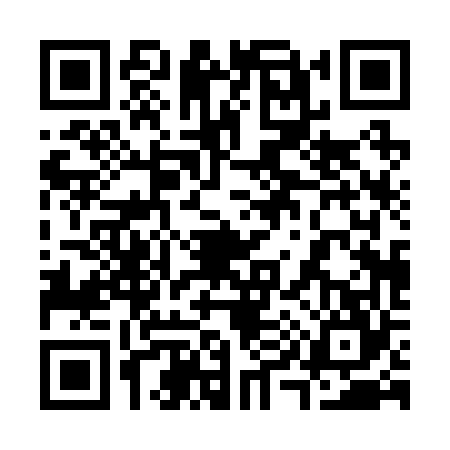 QR code for 3902643