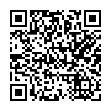 QR code for 390394