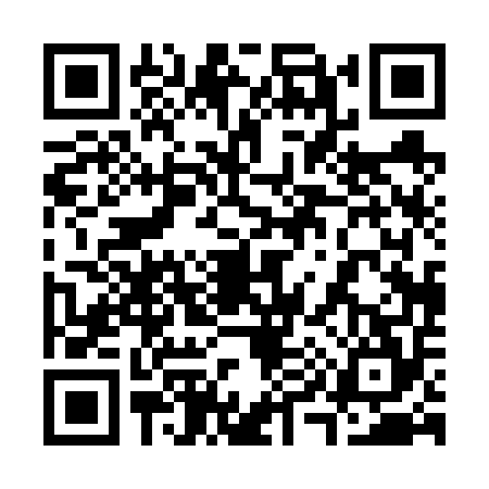 QR code for 3906541