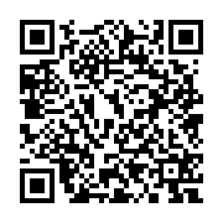 QR code for 3907243