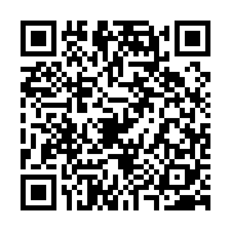 QR code for 3911686