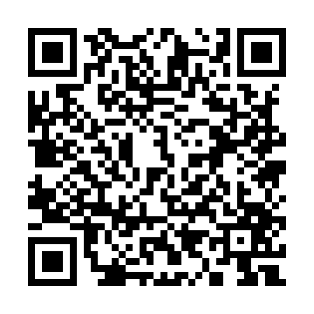 QR code for 3919479